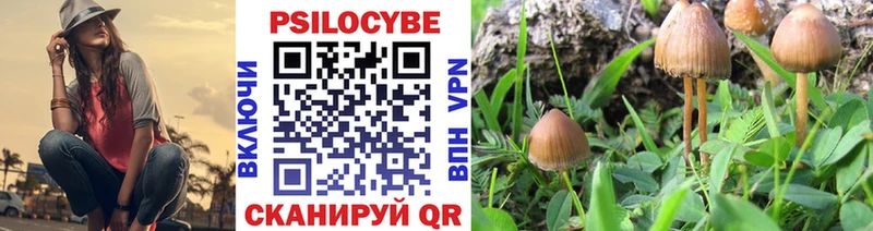 Купить где  Выборг  Галлюциногенные грибы ЛСД 